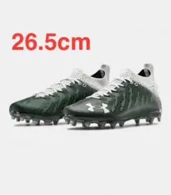 アメフト アメリカンフットボール