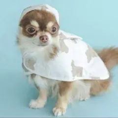 【新品未使用タグ付き】ジェラートピケ　ペット 「CAT＆DOG」レインポンチョS