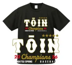 Item thumbnail for item e1d6f0c3-8493-4d88-ad2f-4e886c3b465a