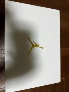 Nike Air Jordan 1 Retro High OG 赤/白