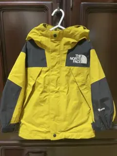 THE NORTH FACE GORE-TEX ジャケット 100サイズ