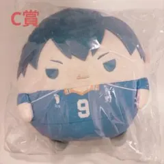 ハイキュー くじメイト ぬいくじ C賞 ふわコロりん Мサイズ 影山飛雄