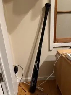 Item thumbnail for item a83468bc-005b-4ddc-9959-a46513a7f4d6