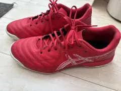 アシックス フットサルシューズ CALCETTO WD 9 TF 26cm