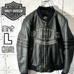 2026年最新】Harley-Davidson メンズ レザージャケット・ライダースの