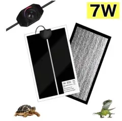 Item thumbnail for item b7bc2694-fa2b-4f0d-8bc4-dcd510a2f7e2