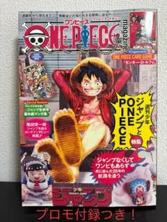 ワンピースマガジン 20 付録付き ルフィ カード プロモ付