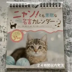 新品 ニヤン！とも素敵な日めくり名言カレンダー 31日版 万年カレンダー