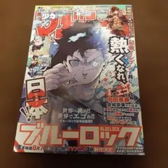 週刊少年マガジン 29号 中田英寿 - メルカリ