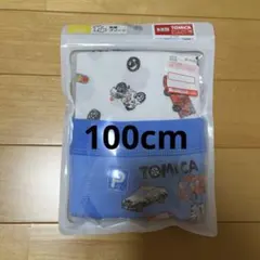 Item thumbnail for item 4de4b9f3-06d3-426c-8911-e1c8c859b536