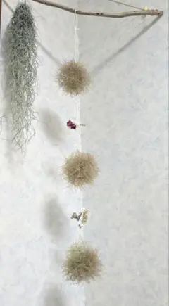 もふもふスモークツリー ゆらゆら♫揺れるスモークツリーボール ボール