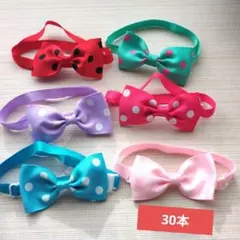 Item thumbnail for item c6608ef2-6d9c-4552-ab83-514e440b1860