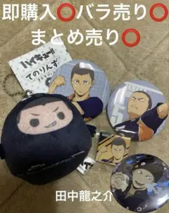 ハイキュー!! 田中龍之介マスコット ピンバッジ 5点セット