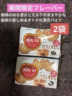 ②ラスト☆再入荷無し【期間限定】源氏パイほろにがカフェオレ味9枚