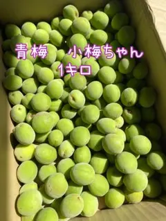 無農薬青梅 小梅 1キロのサムネイル