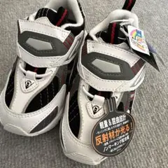 Item thumbnail for item b89793c9-d885-4031-8d35-233cfbce5bad