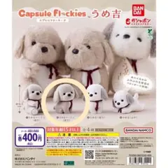 Capsule Flockies うめ吉 うめ吉ベージュ(座り)