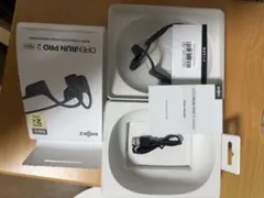 SHOKZ OPENRUN PRO 2 Mini