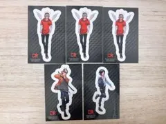 Crazy Raccoon CR GIGO 特典　ステッカー