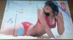 かたせ梨乃 切り抜きポスター（小）1枚 - メルカリ