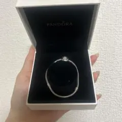 【新品未開封】値下げ不可　パンドラ　PANDORA キーチャーム　キーリング 新品未開封】値下げ不可 パンドラ PANDORA キーチャーム キーリング