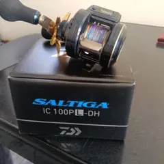 2026年最新】ソルティガic100の人気アイテム - メルカリ