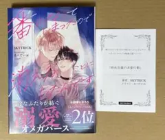 番になってしまったので消えることにしたんです SKYTRICK