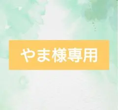やま様専用出品