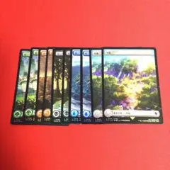 チョコボトラック