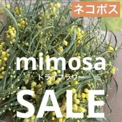 【限定出品】ミモザ　リース　スワッグ　ガーランド　ドライフラワー　インテリア ドライフラワー ミモザ 花材 スワッグ リース ガーランド インテリア