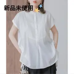 アーバンリサーチサニーレーベル　エアリーコットンピンタックドレスシャツのサムネイル