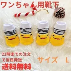 Ｌサイズ犬用靴下 肉球保護 滑り止め付き かわいい靴下