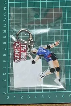 新品VNL2025日本代表佐藤淑乃選手#26アクリルキーホルダー4種セット 2026年最新】2佐藤淑乃の人気アイテム - メルカリ