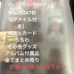 SEVENTEEN ディノ トレカ まとめ売り