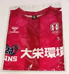 【まとめ売り】INAC神戸レオネッサ 田中陽子 ユニホーム2着＋グッズ 2025年最新】inac神戸の人気アイテム - メルカリ