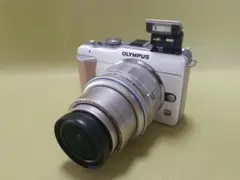 2025年最新】E-PL1 ダブルズームの人気アイテム - メルカリ