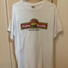 新品 HAWAIIAN6『ビギニングス』ツアーファイナルＴシャツM 横山 健 新品 HAWAIIAN6 激レア限定Tシャツ 横山 健 KEN YOKOYAMA