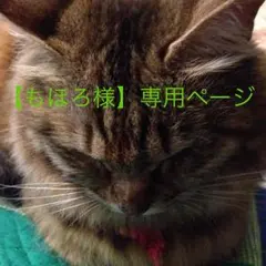 【もほろ様専用】130㎝ ミキハウスmikihouse半袖ポロシャツ2枚セット