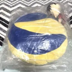 一番くじ ハイキュー!! ゴミ捨て場の決戦2 C賞 とびつきクッション 孤爪研磨