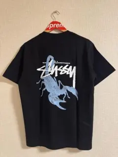 Stussy Scorpion Tee 蠍 Tシャツ ブラック 半袖 Mサイズ