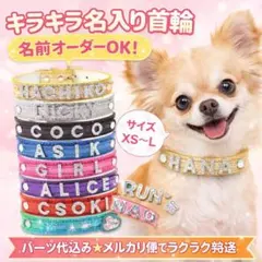 メルカリ便　パーツ込！　ペット　首輪　カスタム　オーダー　XS.S.M.L