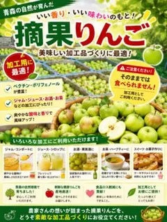 青森県産 摘果りんご　15キロのサムネイル