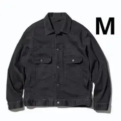 Item thumbnail for item 969dd441-fb14-49e9-84af-d378fa085dd4