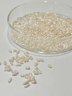 rinko様　専用ページです☺︎