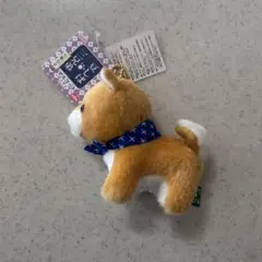 豆しば 三兄弟 大集合