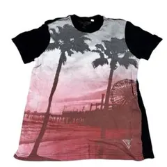 Item thumbnail for item 47ccc410-5a6d-4c4e-9fd5-60261182ae63