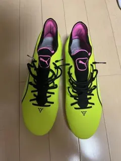 Item thumbnail for item fd2aeb16-db4d-4fdc-8205-9132c8543862