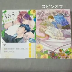 365+1　愛しのいばら姫　凪良ゆう　BL小説　初版