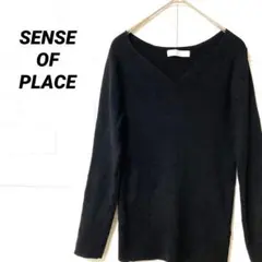 SENSE OF PLACE レディース　レーヨンリブニット Vネック