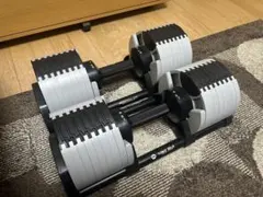 ONE MORE 32kgダンベル 2個 ライシンタイプ ONE MORE 32kgダンベル 2個 ライシンタイプ - メルカリ